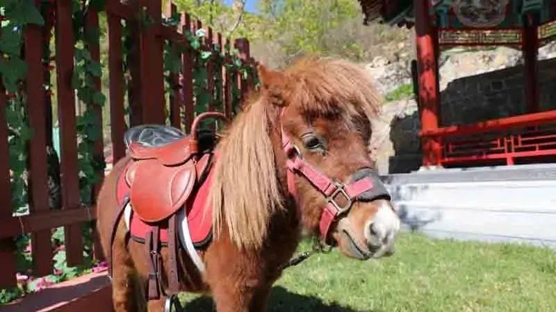 美国伊利诺伊州连环枪案致8死,嫌疑人自杀