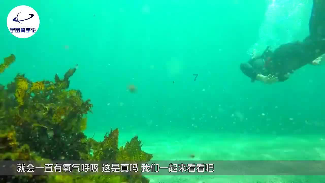报告对高效节水农业工作的部署说到咱旱区群众心坎上