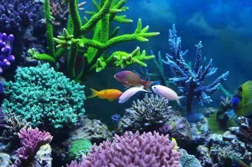 重庆摩方精密拟A股上市：系3D打印细分领先者 预计将增资扩股