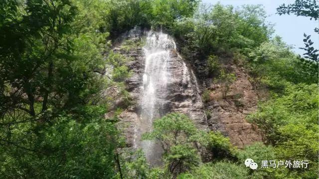 新春走基层 | 2024甲辰龙年惠民年货节在四子王旗启动